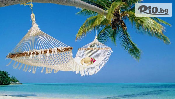 Далла Турс - thumb 2