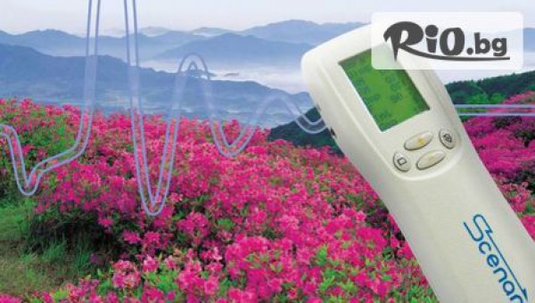 Скенар терапевт Валентина Бакалова - thumb 3