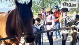 Рожден ден за до 8 деца с конна езда #1