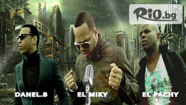 Star Event Agency - thumb 3