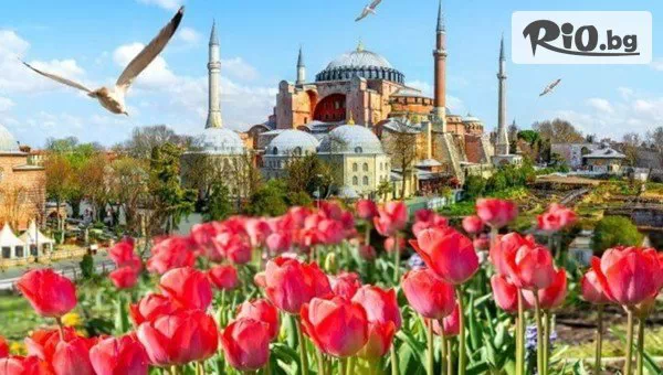 Албена Холидейс - thumb 2