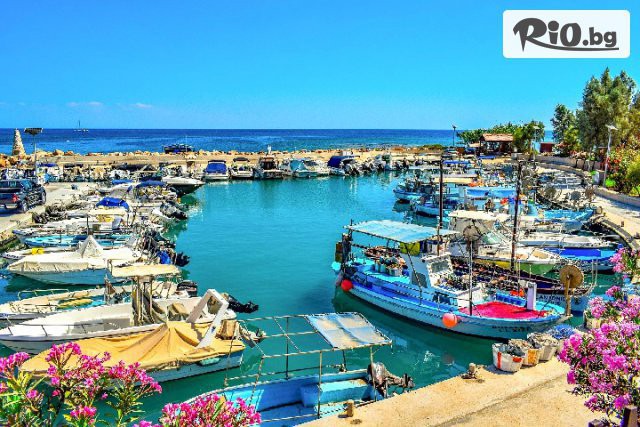 Арена Холидейз - thumb 1 Арена Холидейз - thumb 1