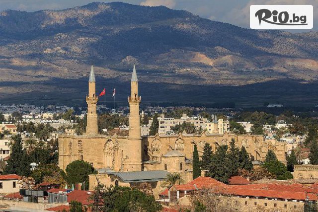 Арена Холидейз - thumb 5 Арена Холидейз - thumb 5