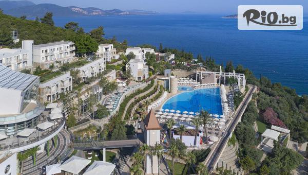 Глобул Турс - thumb 2