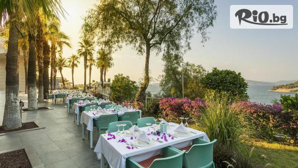 Глобул Турс - thumb 3