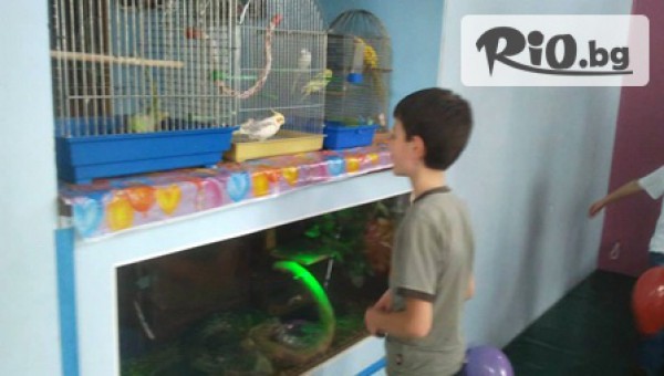 Конна база "" Драгалевци" - thumb 6