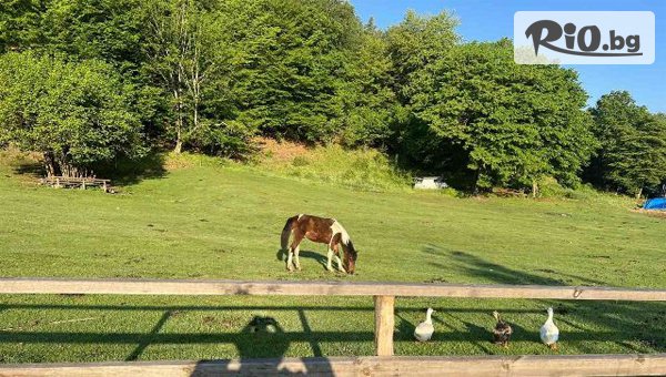 Къща за гости Давидковска река - thumb 2