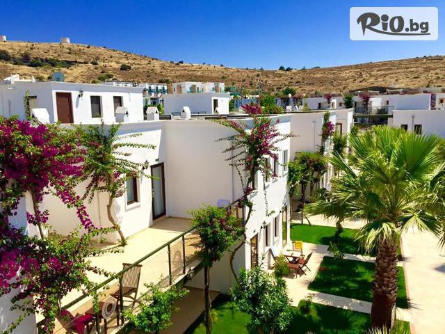 Golden Voyages - thumb 2