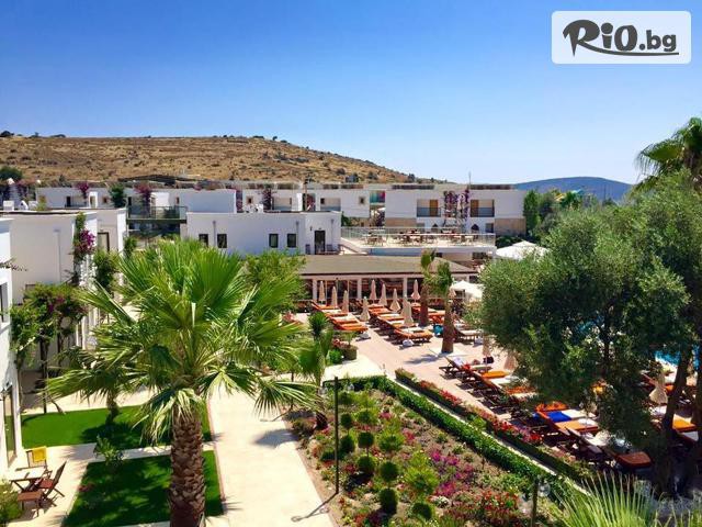 Golden Voyages - thumb 3