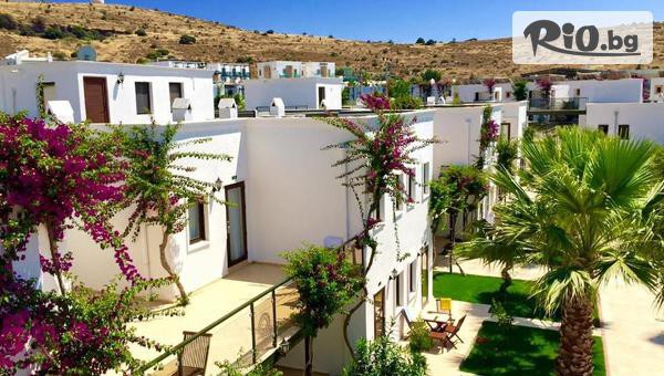 Golden Voyages - thumb 2