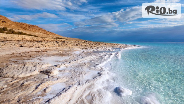 Дрийм Холидейс - thumb 5