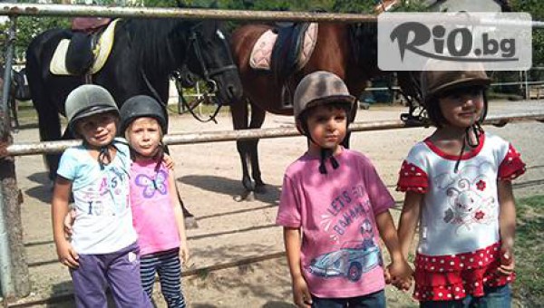 конна база Здравец - thumb 4