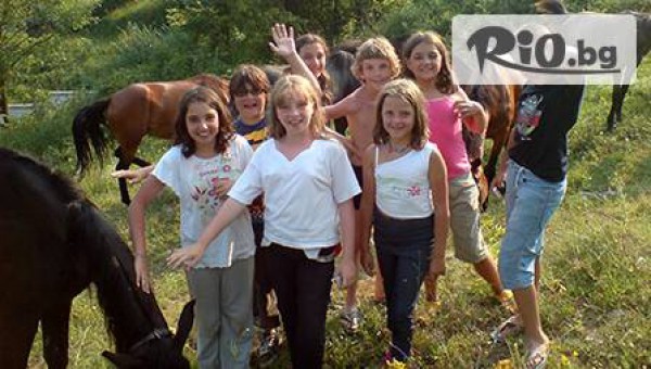 конна база Здравец - thumb 2