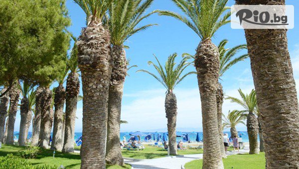 Далла Турс - thumb 3