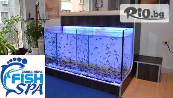"Garra Rufa Fish Spa Salon Варна" - thumb 4