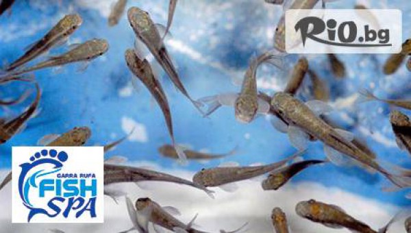"Garra Rufa Fish Spa Salon Варна" - thumb 3