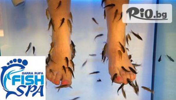 "Garra Rufa Fish Spa Salon Варна" - thumb 6