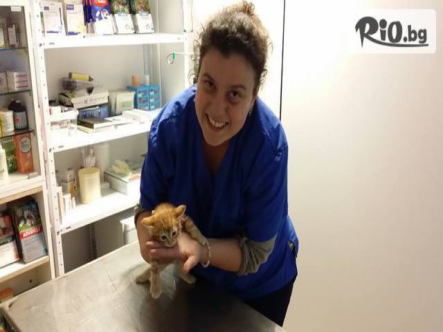 Ветеринарен кабинет и зоомагазин Ринти - thumb 3 Ветеринарен кабинет и зоомагазин Ринти - thumb 3