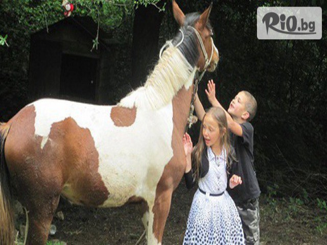 VitoshaFUN - thumb 1 VitoshaFUN - thumb 1