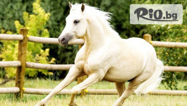 VitoshaFUN - thumb 3