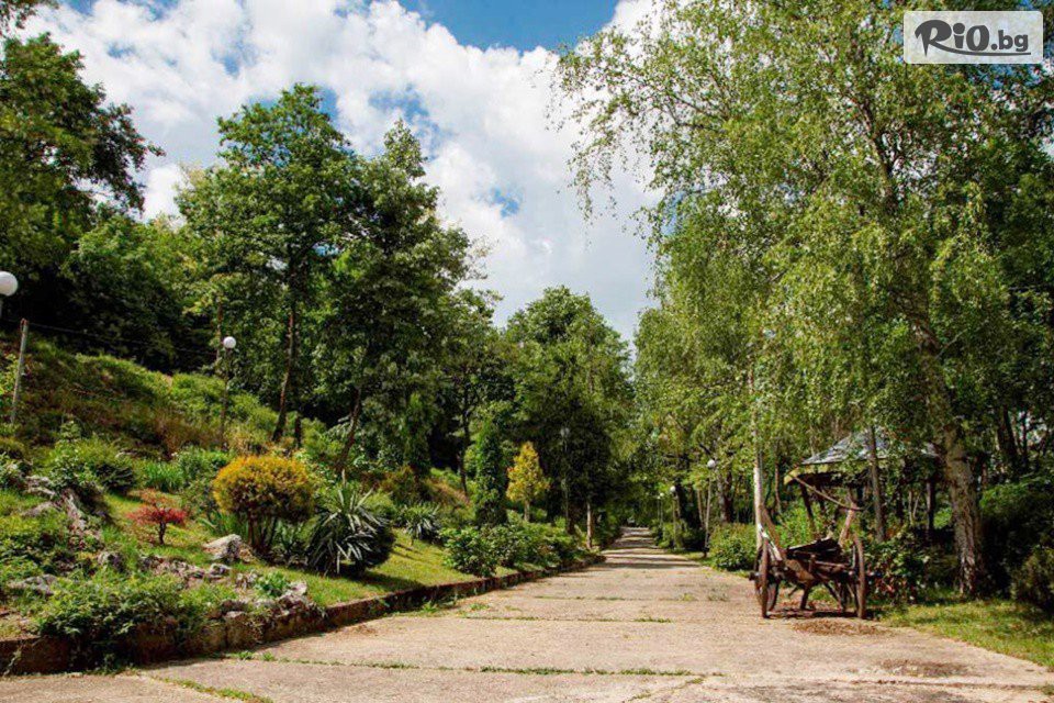 Комплекс Поп Харитон - thumb 7 Комплекс Поп Харитон - thumb 7