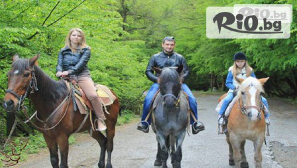 Конна база "" Драгалевци" - thumb 3