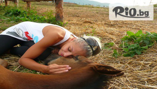 Конна база "" Драгалевци" - thumb 2