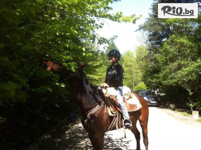 Конна база "" Драгалевци" - thumb 2 Конна база "" Драгалевци" - thumb 2