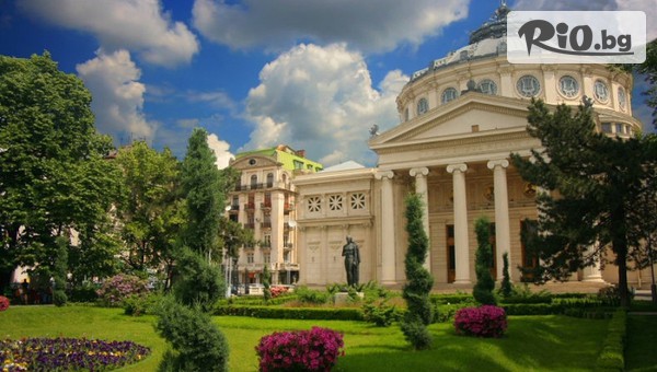 Рико Тур - thumb 2