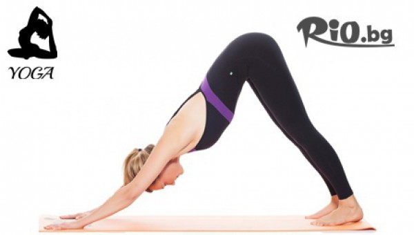 "At SportZone" - thumb 2