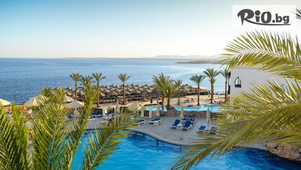 Sharm Resort 4*, Египет #1