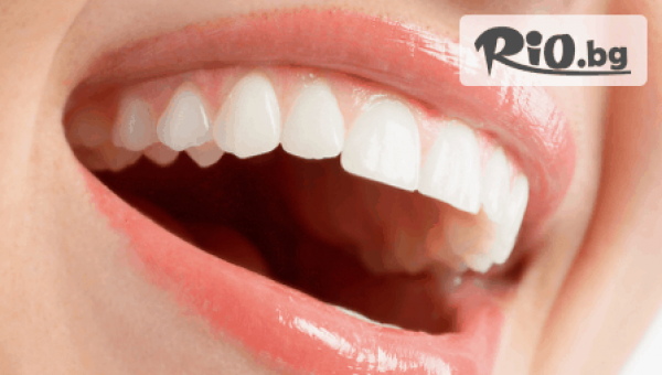 д-р Снежина Цекова - thumb 4