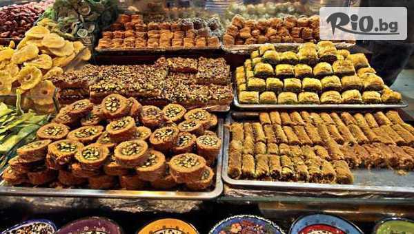 Ана Травел - thumb 10