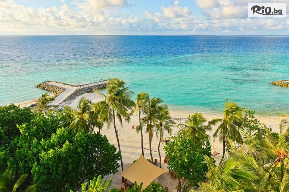 Далла Турс - thumb 1 Далла Турс - thumb 1