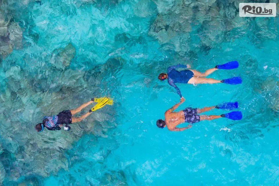 Далла Турс - thumb 2 Далла Турс - thumb 2