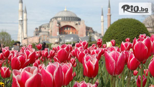 Дениз Травел - thumb 2