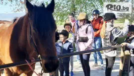 Рожден ден за до 8 деца с конна езда #1