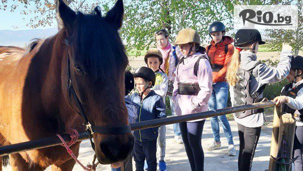 Рожден ден за до 8 деца! 3 часа парти с конна езда, игри и меню + Бонус - посещение на детска ферма Тара, от Конна база Тара, с. Ягодово
