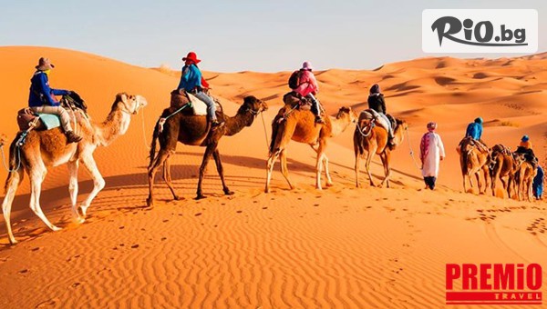 Премио Травел - thumb 8