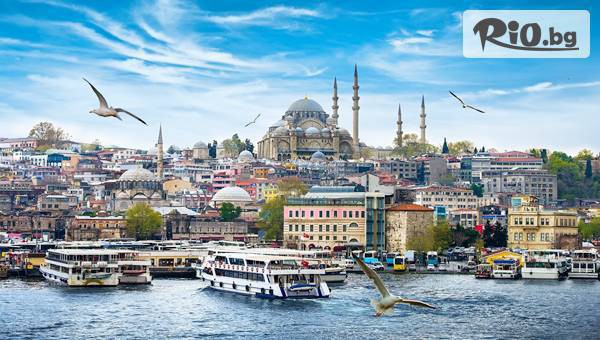 Джуанна Травел - thumb 2