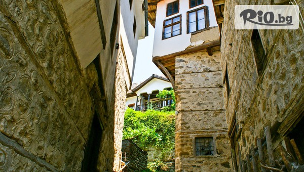 Лионс Травел - thumb 4