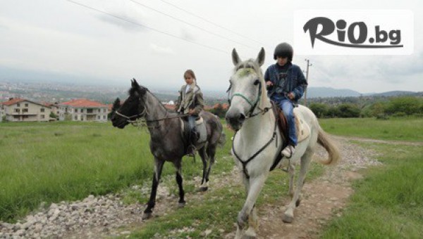 30 минутна конна езда с водач или урок по конна езда с инструктор на цена от 6.50лв, от Конна база Драгалевци