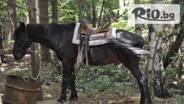 Конна база Драгалевци - thumb 2