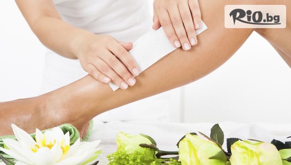 Те Арт Студио - thumb 3