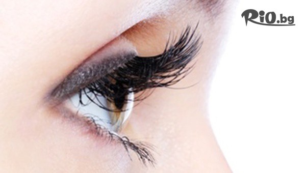 СТАРЛАШ - thumb 2