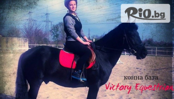 Урок по конна езда или разходка (30 - 40 минути), от Конна база Victory Equestrian в Пловдив