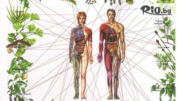 Зона Здраве - thumb 3