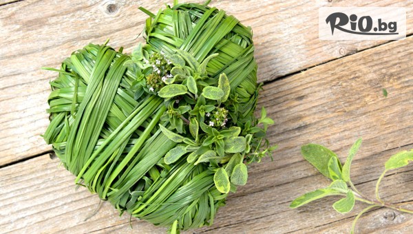 Зона Здраве - thumb 4