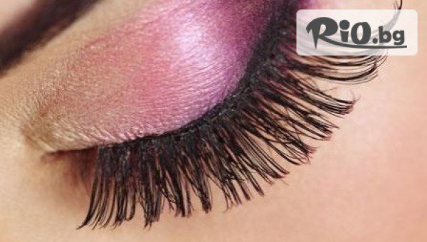 Студио Теди - thumb 2