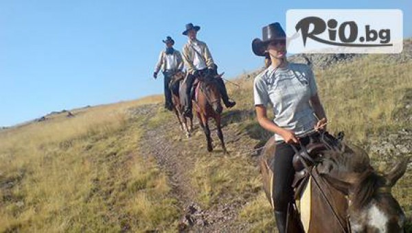 конна база Здравец - thumb 2